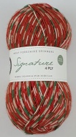WYS - Signature 4 Ply - 1109 Gingerbread